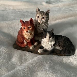 cat inspiration 🥰